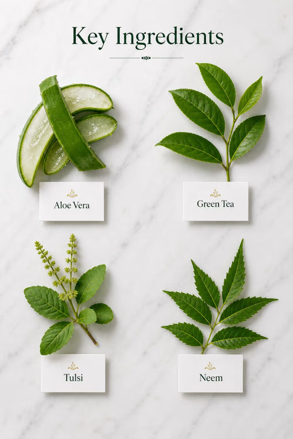 Green Tea & Aloe Vera Moisturizing Lotion with SPF
