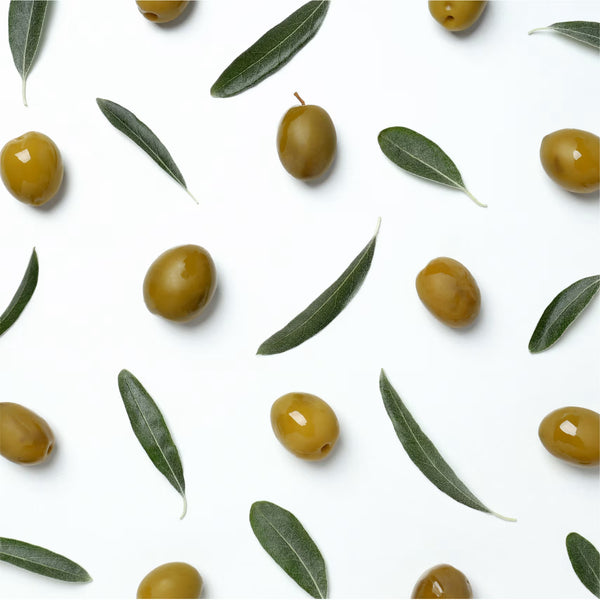 Olive Oil